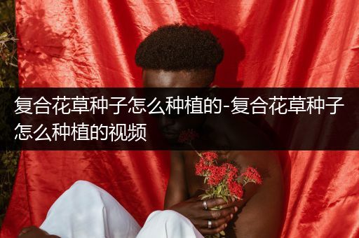 复合花草种子怎么种植的-复合花草种子怎么种植的视频
