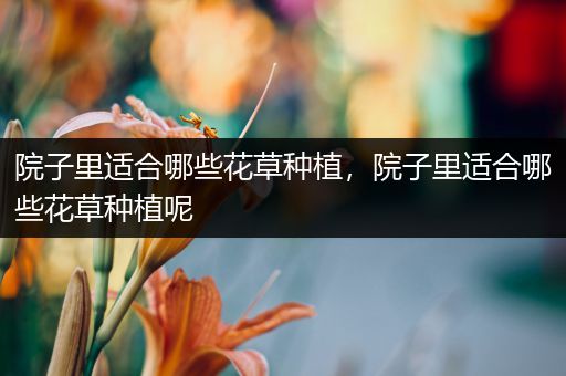 院子里适合哪些花草种植，院子里适合哪些花草种植呢