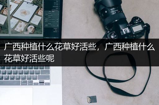 广西种植什么花草好活些，广西种植什么花草好活些呢