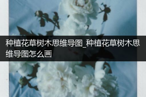 种植花草树木思维导图_种植花草树木思维导图怎么画