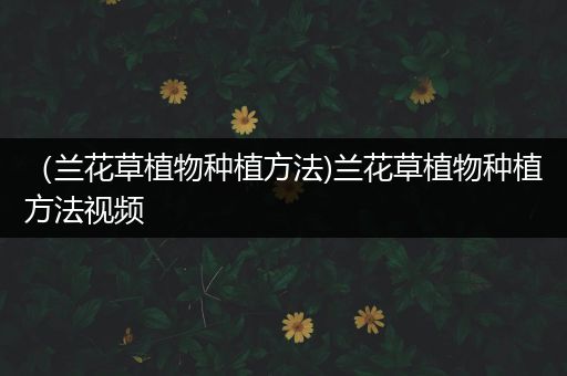 （兰花草植物种植方法)兰花草植物种植方法视频