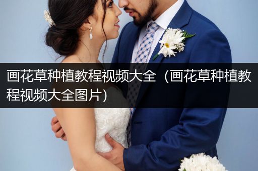 画花草种植教程视频大全（画花草种植教程视频大全图片）