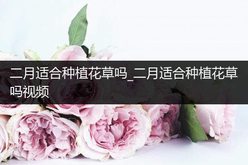 二月适合种植花草吗_二月适合种植花草吗视频
