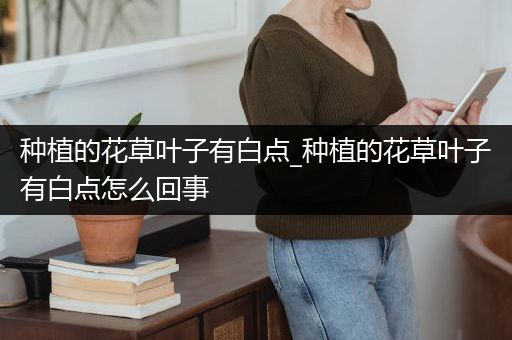 种植的花草叶子有白点_种植的花草叶子有白点怎么回事