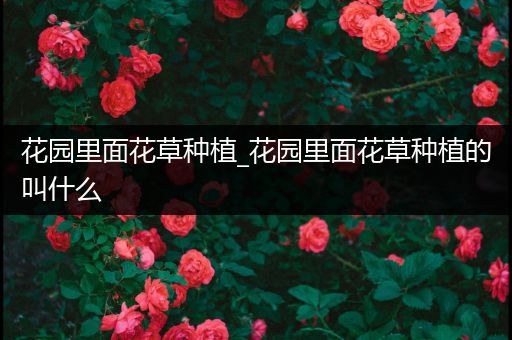 花园里面花草种植_花园里面花草种植的叫什么
