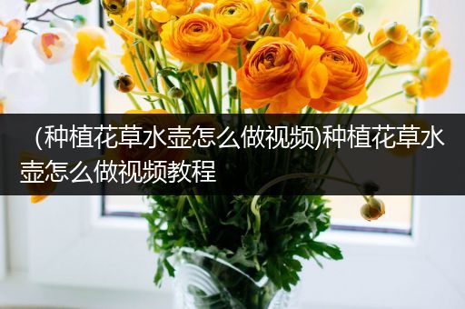 （种植花草水壶怎么做视频)种植花草水壶怎么做视频教程