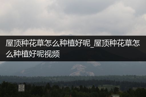 屋顶种花草怎么种植好呢_屋顶种花草怎么种植好呢视频