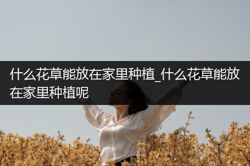 什么花草能放在家里种植_什么花草能放在家里种植呢