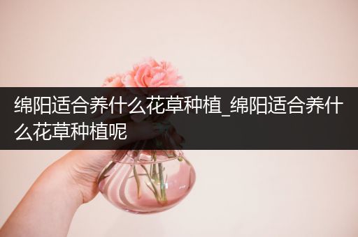 绵阳适合养什么花草种植_绵阳适合养什么花草种植呢
