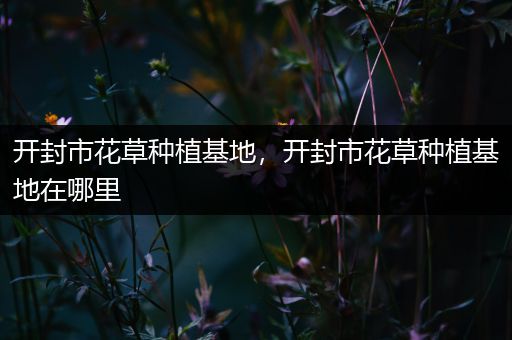 开封市花草种植基地，开封市花草种植基地在哪里