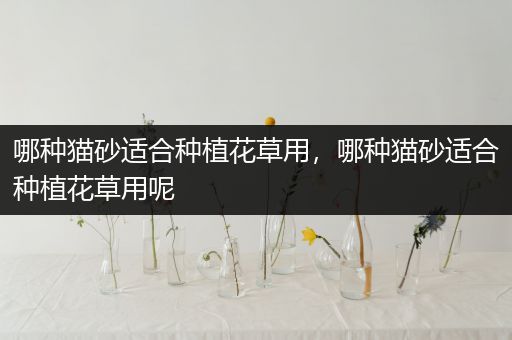 哪种猫砂适合种植花草用，哪种猫砂适合种植花草用呢
