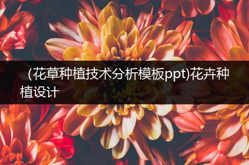 （花草种植技术分析模板ppt)花卉种植设计