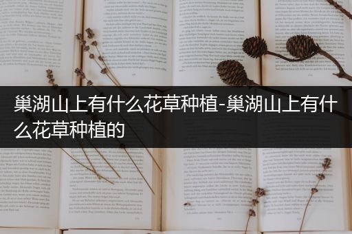 巢湖山上有什么花草种植-巢湖山上有什么花草种植的