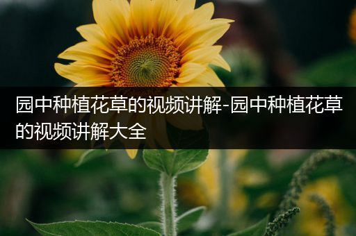 园中种植花草的视频讲解-园中种植花草的视频讲解大全
