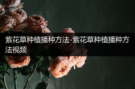 紫花草种植播种方法-紫花草种植播种方法视频