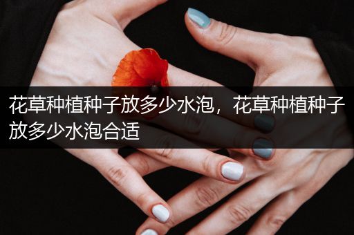花草种植种子放多少水泡，花草种植种子放多少水泡合适
