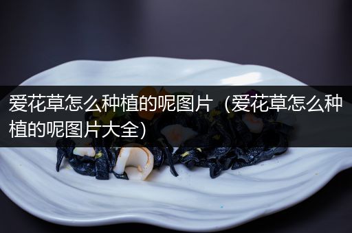爱花草怎么种植的呢图片（爱花草怎么种植的呢图片大全）