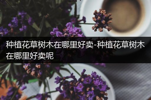 种植花草树木在哪里好卖-种植花草树木在哪里好卖呢