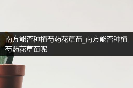 南方能否种植芍药花草苗_南方能否种植芍药花草苗呢