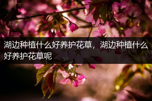 湖边种植什么好养护花草，湖边种植什么好养护花草呢