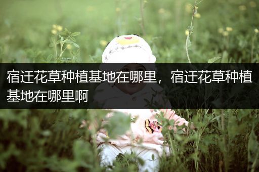 宿迁花草种植基地在哪里，宿迁花草种植基地在哪里啊