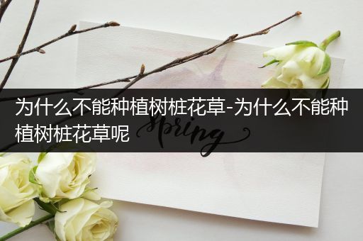 为什么不能种植树桩花草-为什么不能种植树桩花草呢