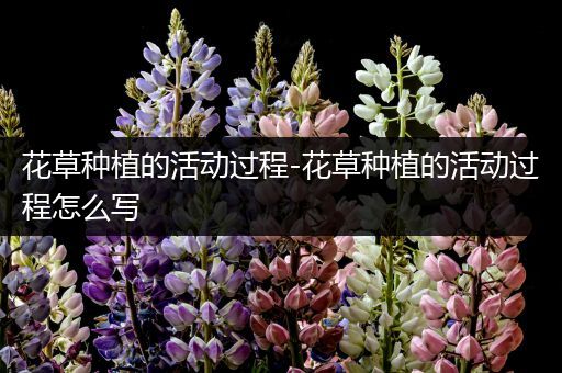 花草种植的活动过程-花草种植的活动过程怎么写