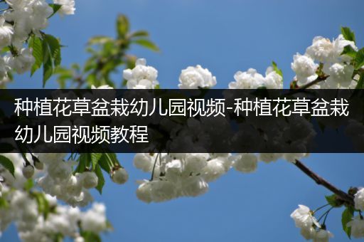 种植花草盆栽幼儿园视频-种植花草盆栽幼儿园视频教程