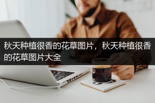 秋天种植很香的花草图片，秋天种植很香的花草图片大全