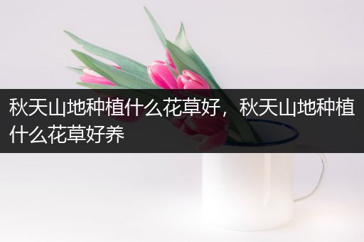 秋天山地种植什么花草好，秋天山地种植什么花草好养
