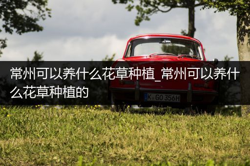 常州可以养什么花草种植_常州可以养什么花草种植的