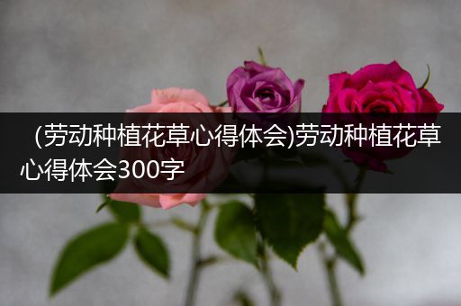 （劳动种植花草心得体会)劳动种植花草心得体会300字