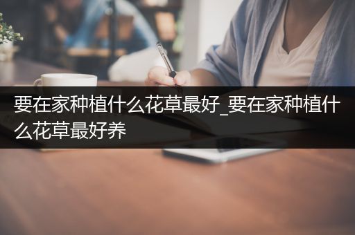 要在家种植什么花草最好_要在家种植什么花草最好养