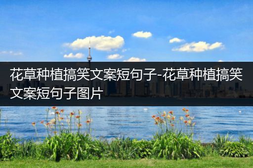 花草种植搞笑文案短句子-花草种植搞笑文案短句子图片