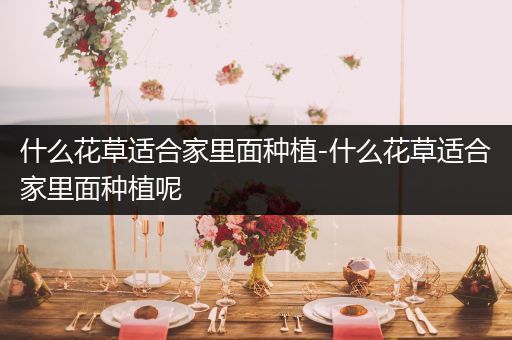 什么花草适合家里面种植-什么花草适合家里面种植呢
