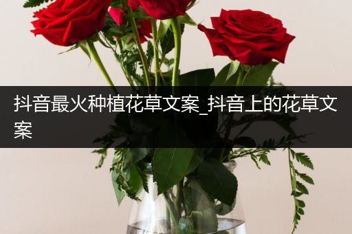 抖音最火种植花草文案_抖音上的花草文案
