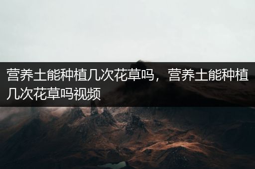 营养土能种植几次花草吗，营养土能种植几次花草吗视频