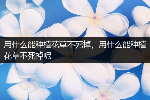 用什么能种植花草不死掉，用什么能种植花草不死掉呢