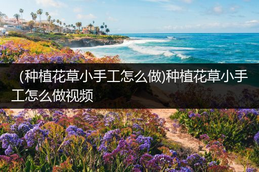 （种植花草小手工怎么做)种植花草小手工怎么做视频