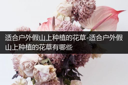 适合户外假山上种植的花草-适合户外假山上种植的花草有哪些
