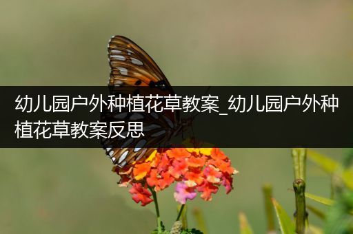 幼儿园户外种植花草教案_幼儿园户外种植花草教案反思