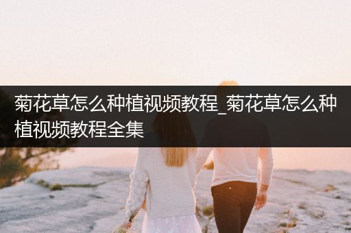 菊花草怎么种植视频教程_菊花草怎么种植视频教程全集