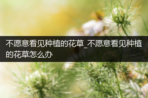 不愿意看见种植的花草_不愿意看见种植的花草怎么办