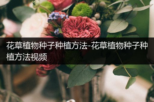 花草植物种子种植方法-花草植物种子种植方法视频