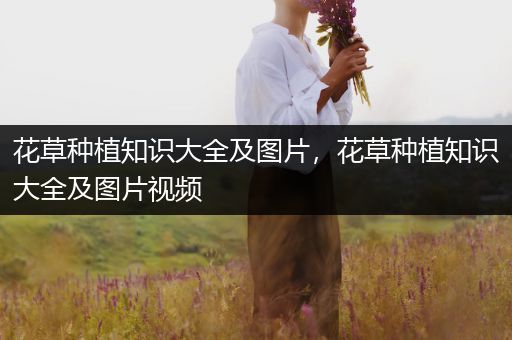 花草种植知识大全及图片，花草种植知识大全及图片视频