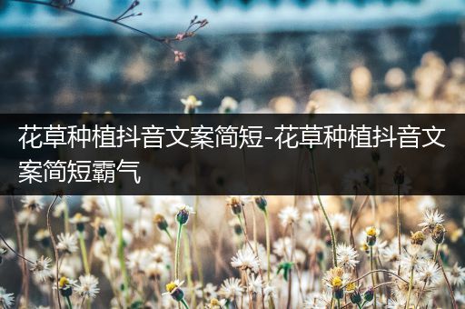 花草种植抖音文案简短-花草种植抖音文案简短霸气