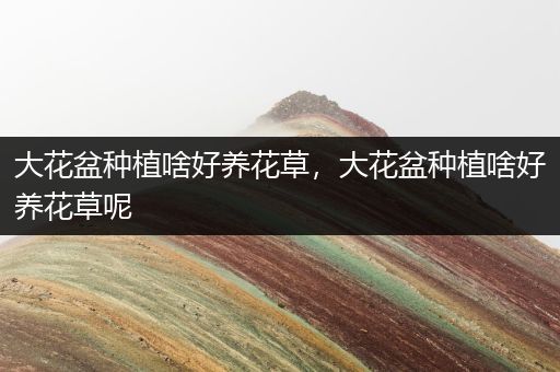 大花盆种植啥好养花草，大花盆种植啥好养花草呢