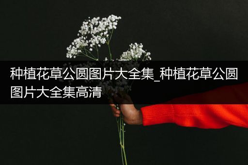 种植花草公圆图片大全集_种植花草公圆图片大全集高清