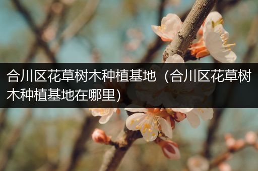 合川区花草树木种植基地（合川区花草树木种植基地在哪里）