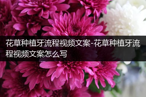 花草种植牙流程视频文案-花草种植牙流程视频文案怎么写